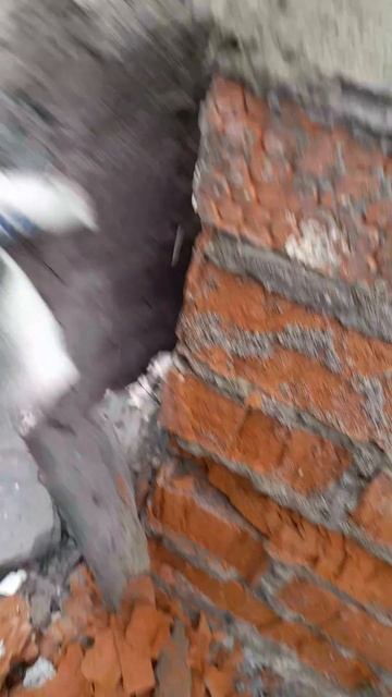 цоколь без защиты. последствия. смотреть онлайн