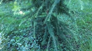 Летний вложек/Парфюм/Косметика в офис