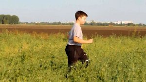 Летние прогулки по полям