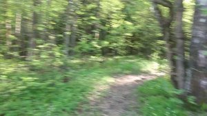 переход под мкад. зверепроход в Лосином Острове.