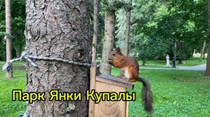 Парк Янки Купалы. Минск. Белочка