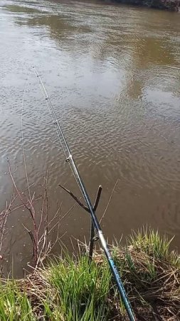 1000041324.mp4
