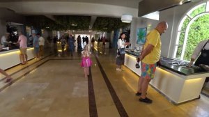 Отель Desert Rose Египет Хургада Февраль 2025 что по ПОГОДЕ?