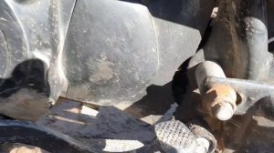 МОПЕД & МОТОЦИКЛ.