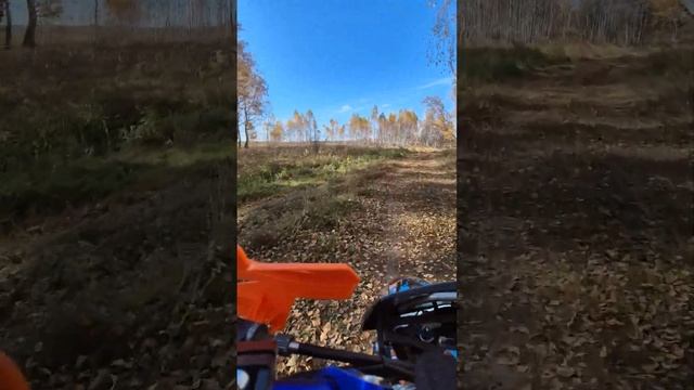 (7) Прохват Эндуро по лесам/полям Челябинской области? смотреть онлайн