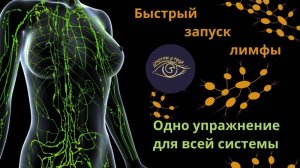 Быстрый запуск лимфы