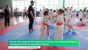 Более 700 каратистов вышли на татами на международных соревнованиях по ашихара-каратэ