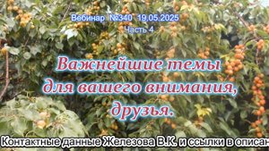 Железов Валерий. Вебинар 340. ч.4. Важнейшие темы для вашего внимания, друзья.