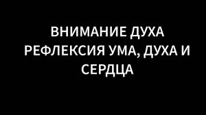 РЕФЛЕКСЫ И ДУХ