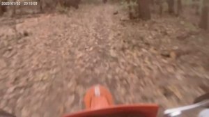 Покатушки в лесу на Ataki s004r