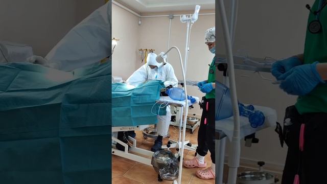 Благотворительный проект. Стерилизация животных в городе Мариуполь