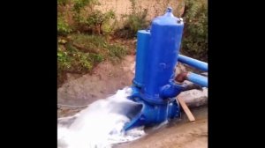 Цена на  водяной насос Гидротаран Рогозина ГТ- 500 .