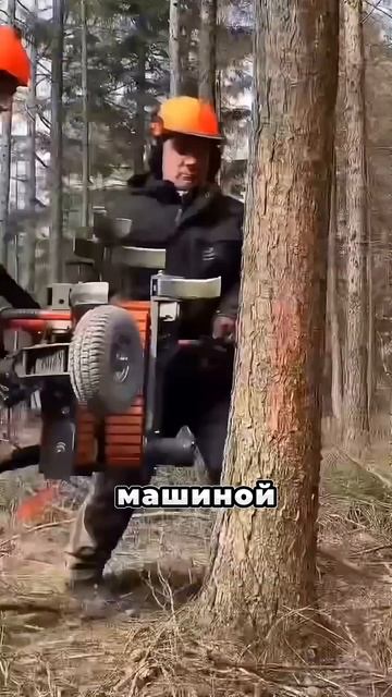 Машина для обрезки деревьев🤯 смотреть онлайн