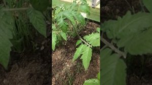 По следам предыдущих видео