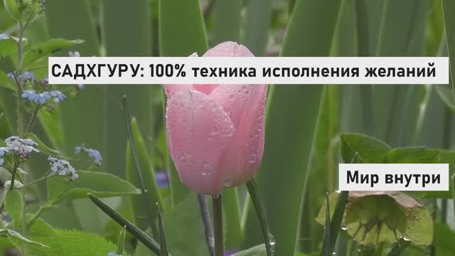 САДХГУРУ: 100% техника исполнения желаний | Работает безотказно!