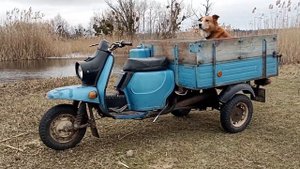 КУПИЛ ЭЛЕКТРОННОЕ ЗАЖИГАНИЕ НА МУРАВЕЙ! но что-то пошл