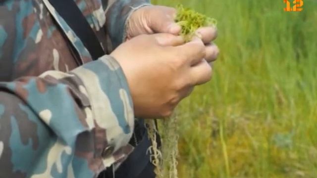 «От чистого истока» смотреть онлайн