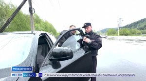 ДТП с пострадавшими и лосёнок на трассе: сводка происшествий по Кузбассу