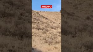 KTX 300/ XGZ 300 /116 300 #shorts #enduro #motocross #motoklubchauvai #чынгыз