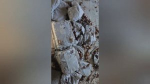 Заброшенное Приморье. Новороссия, Партизанск, Лозовый