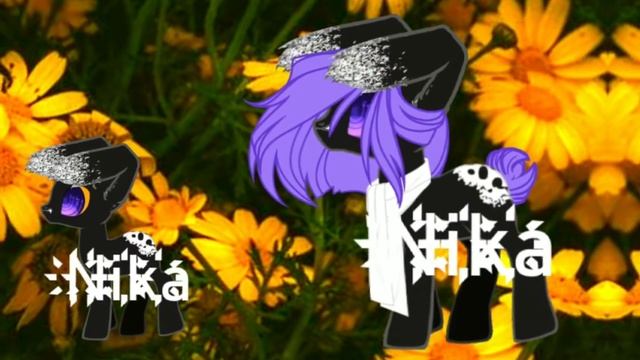 ||ПиАр|| °。лавки мандаринового заката。° смотреть онлайн