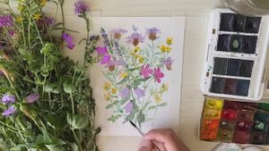 Краски лета. Пишем букет полевых цветов акварелью с натуры