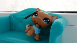 LPS: минутки из жизни (сомнительный звонок)