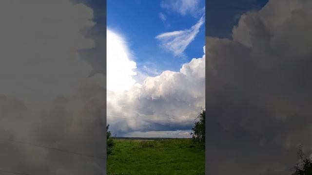 видео не для слабонервных людей лучше на это не смотре смотреть онлайн