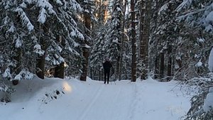 Как кататься на лыжах в мороз. Как не отморозить жопу на лыжне.