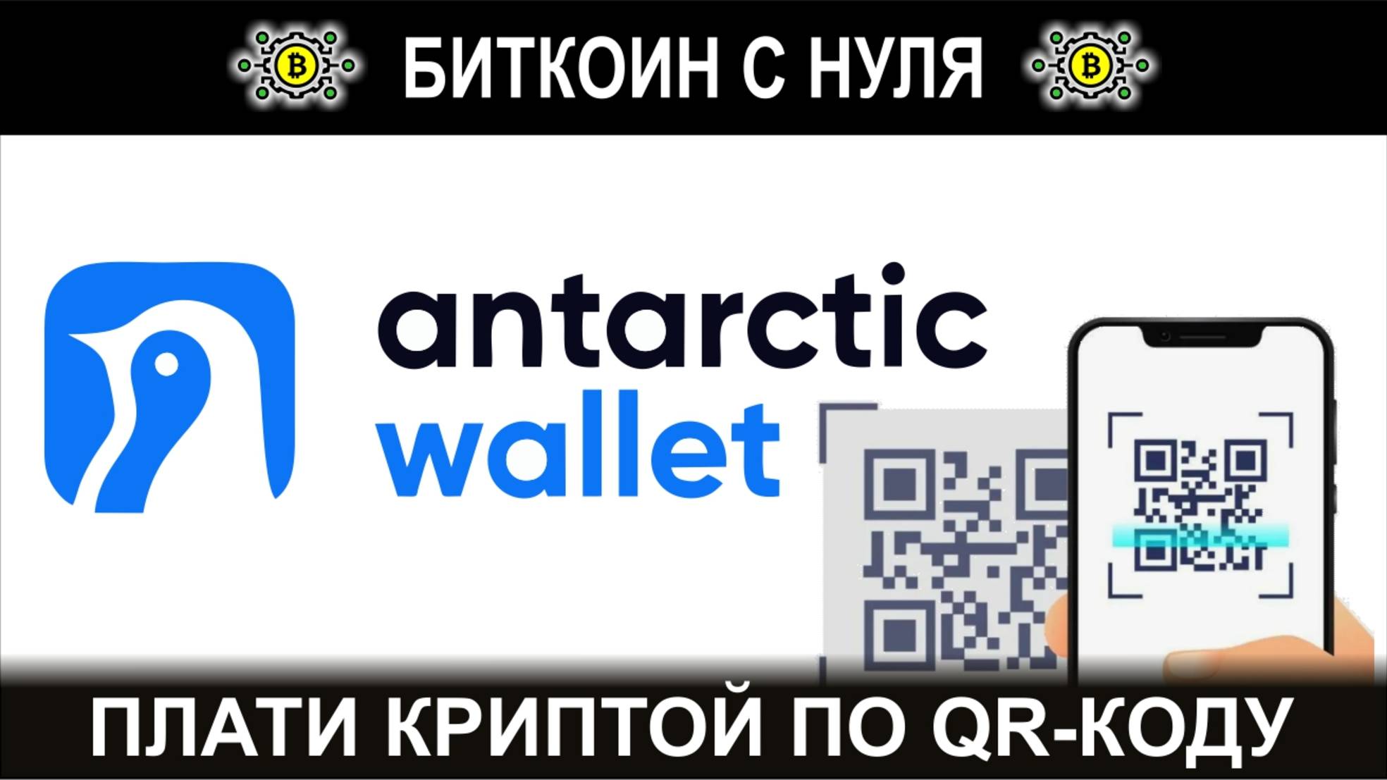 Кошелек Antarctic - для оплаты покупок по QR-коду за криптовалюту - USDT. Пополнение и обзор.