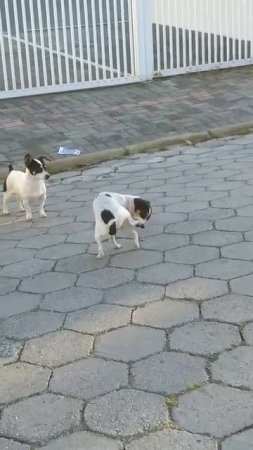 Тащу себя на работу сутра