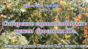 Железов Валерий. Вебинар 340. ч.2. Сибирские сорта плодовых - нужен  бросок на Юг.