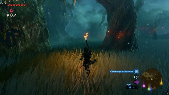 The Legend of Zelda Breath of the Wild  Затерянный Лес Гайд Lost Woods Guide 