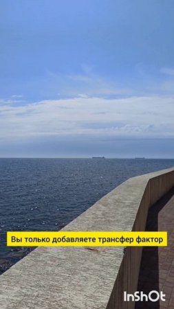 трансфер фактор и лекарственные средства, можно ли вместе?