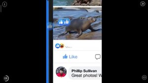 бомбер 1часть