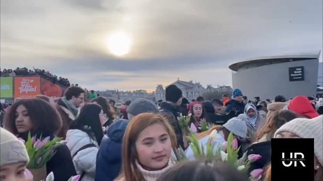 День тюльпанів у Нідерландах. Очікування/реальність смотреть онлайн