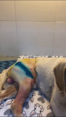 Ура!!!