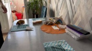 Priborka v kvartire Убираю со стола лишнее