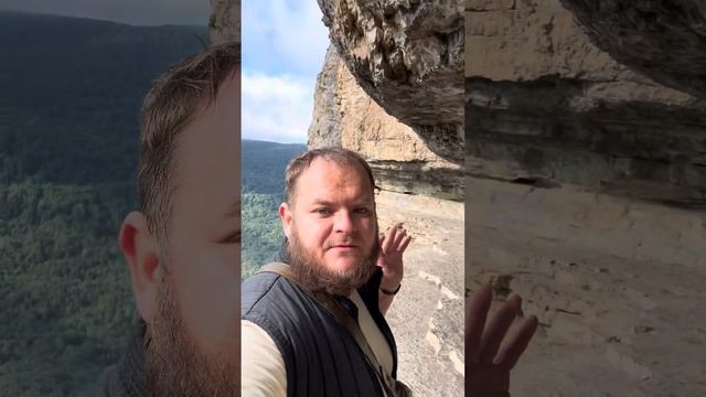 ОРЛИНАЯ ПОЛКА С ДЕТЬМИ ПОДНЯЛИСЬ, ЖИЗНЬ В ЛЕСУ МЕЗМАЙ смотреть онлайн