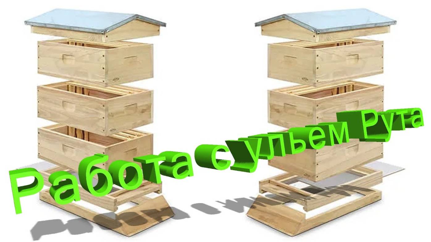 Как правильно работать с многокорпусными ульями? Личный опыт профессора Кашковского