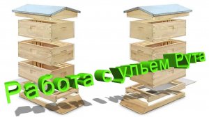Как правильно работать с многокорпусными ульями? Личный опыт профессора Кашковского