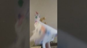 я новый участник канала Айко