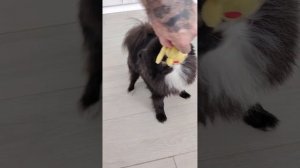Выходные у друзей