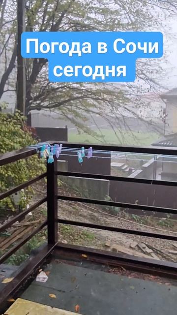 Погода в Сочи сегодня смотреть онлайн