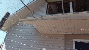 VID_20250517_103101.mp4