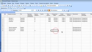 11. Назначение ресурса _Затраты_ в Microsoft Project 2007