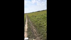 Не проплаченный обзор на питбайк Promax fidet 145 E Pro