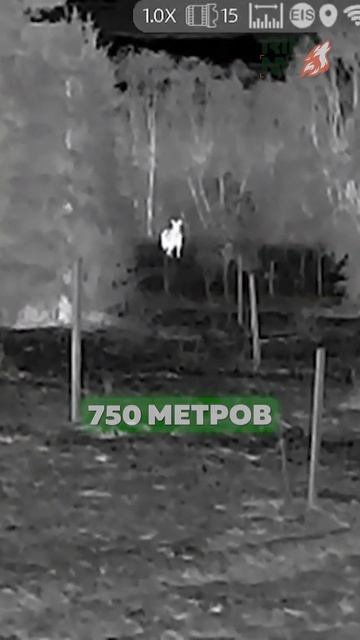 Самый дешевый тепловизор линейки! RikaNV Hypnose 315Pro - теплов смотреть онлайн