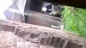 smewno...срущий мужик.mp4