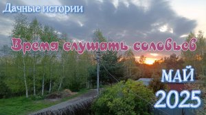 Дачные истории | Новая рисоварка и соловьиные трели | Май 2025
